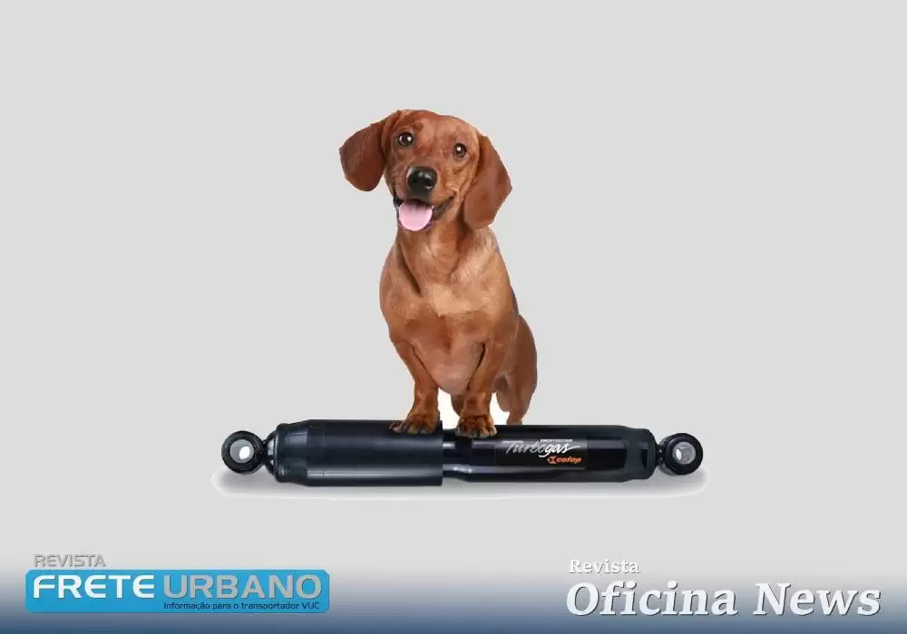 Cofap realiza testes de amortecedores com Shocktester